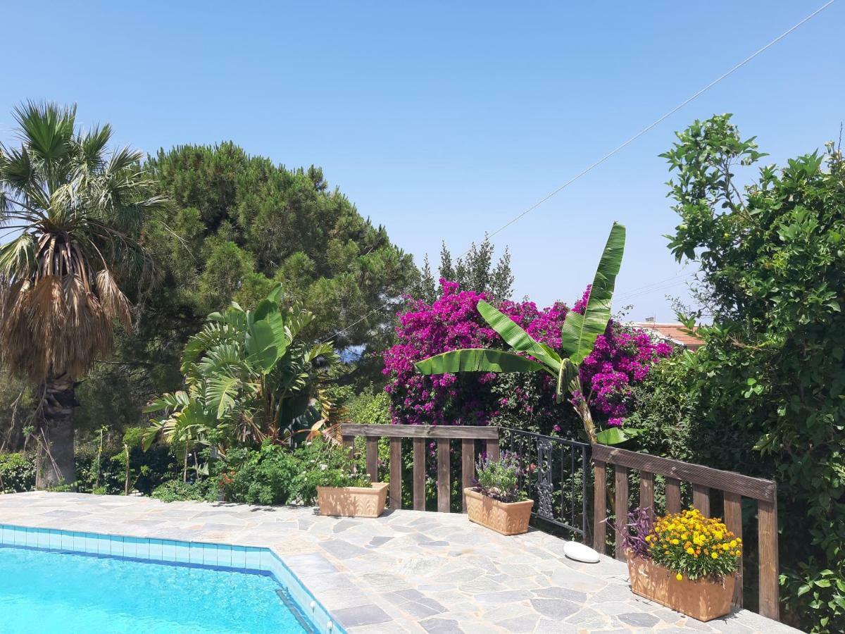 Villa Suites Lagonisi Luxury Exterior photo